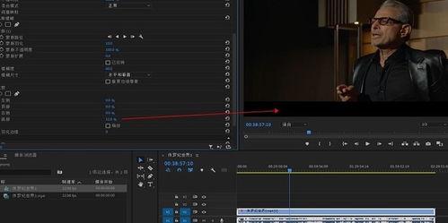 视频如何去掉字幕,无字幕版